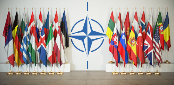 NATO enlargement: Causes, consequences, and controversies